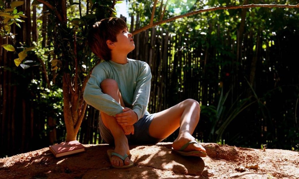 Menino sentado embaixo de um pé de laranja lima, com um livro ao lado, cena do filme Meu Pé de Laranja Lima, de 2012.